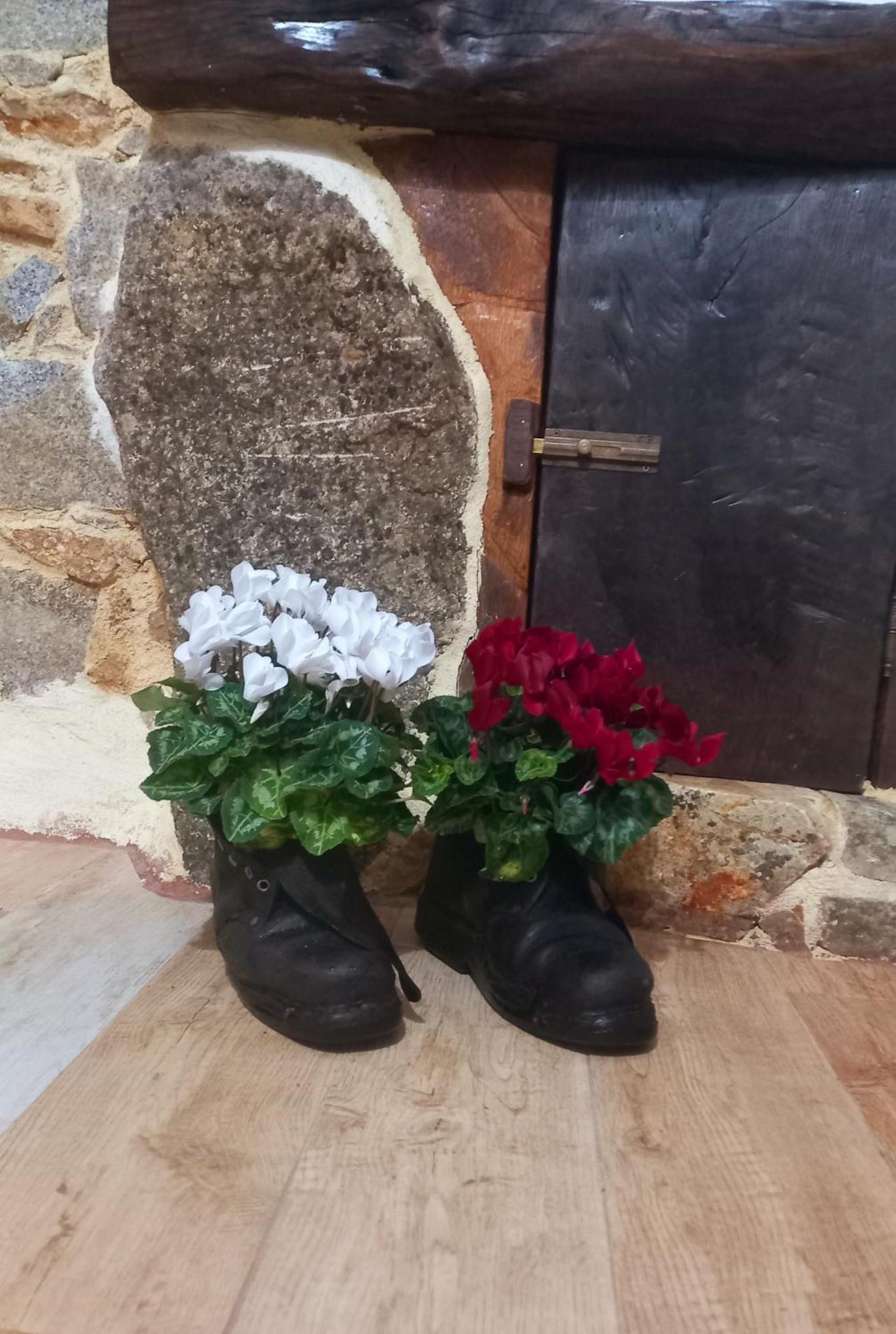 "B&B Santu Giuvanni" Fonni Dış mekan fotoğraf