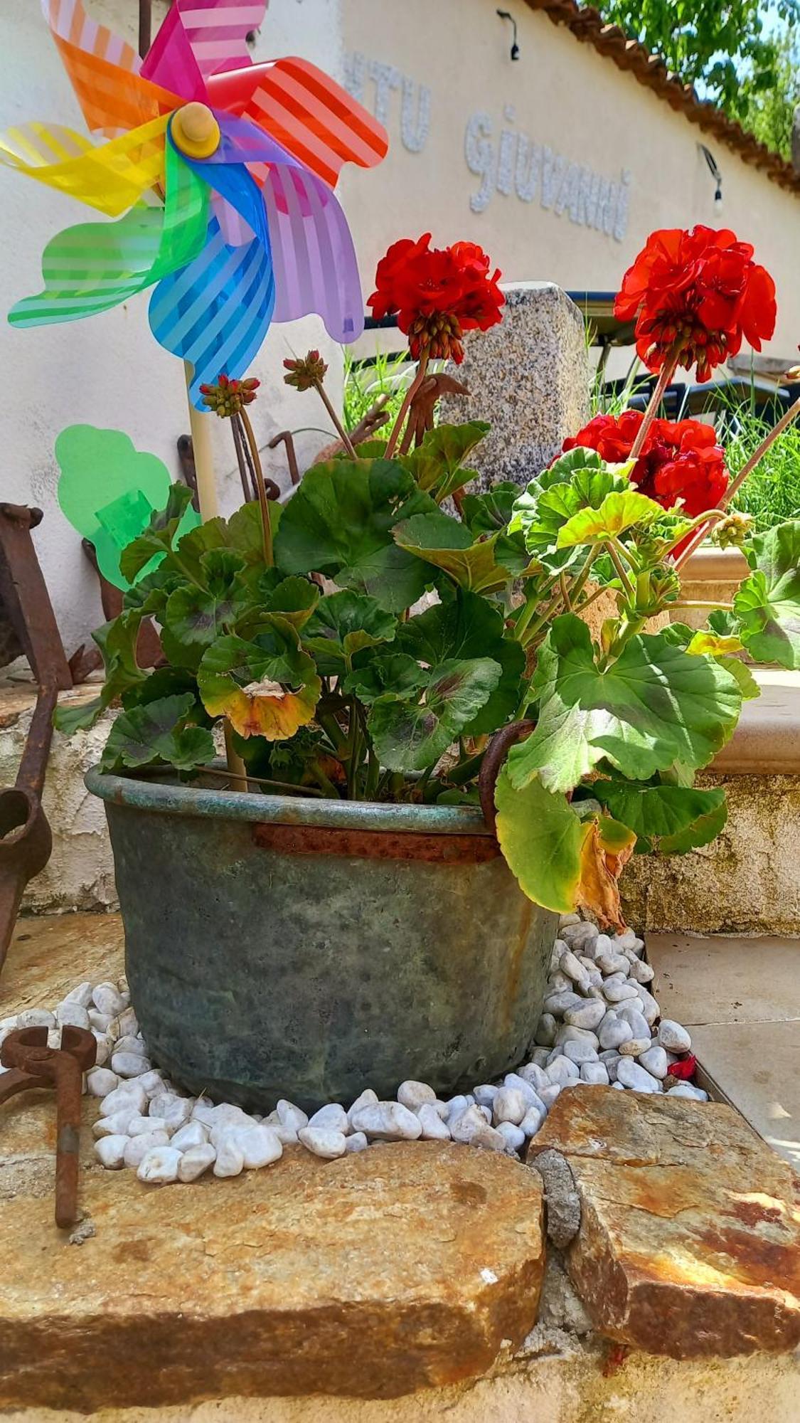 "B&B Santu Giuvanni" Fonni Dış mekan fotoğraf